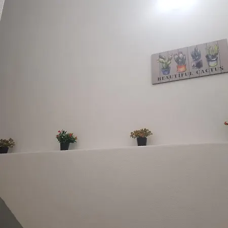 Casa Dos Avos E Netos