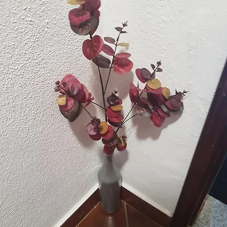 Casa Dos Avos E Netos בית נופש