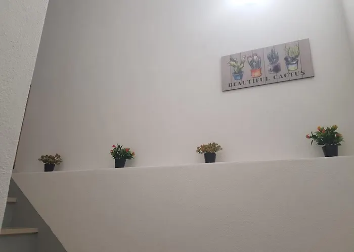 Casa Dos Avós E Netos