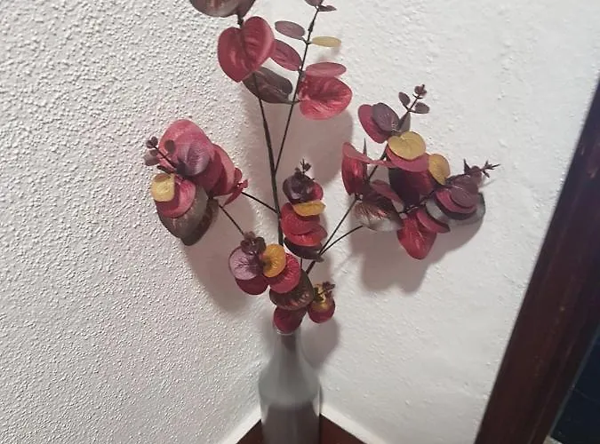 Casa Dos Avós E Netos Casa de Férias